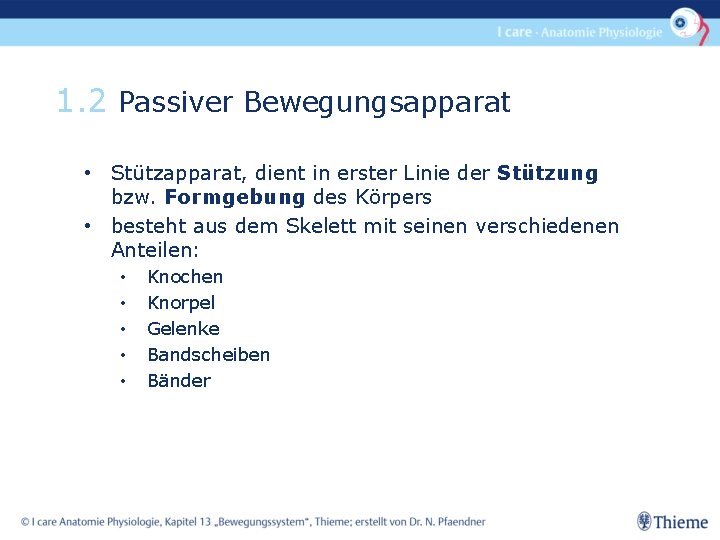 1. 2 Passiver Bewegungsapparat • Stützapparat, dient in erster Linie der Stützung bzw. Formgebung