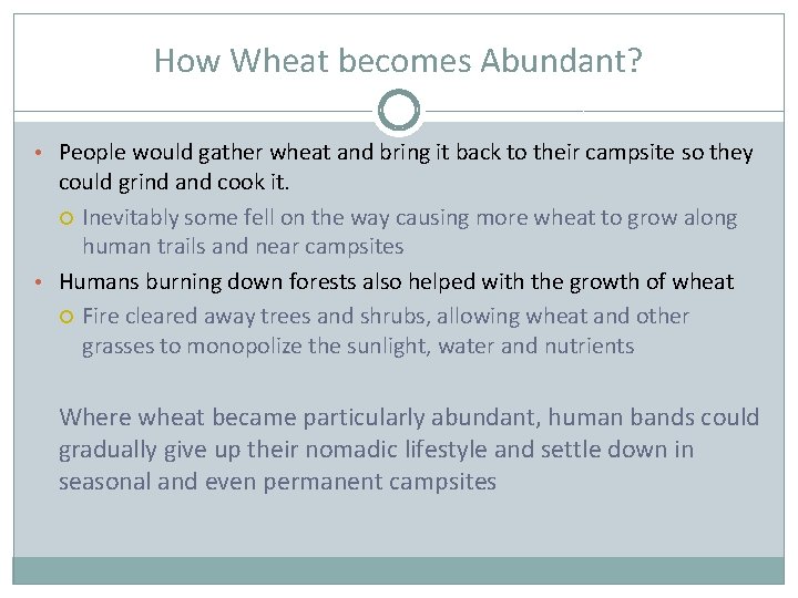 How Wheat becomes Abundant? • People would gather wheat and bring it back to