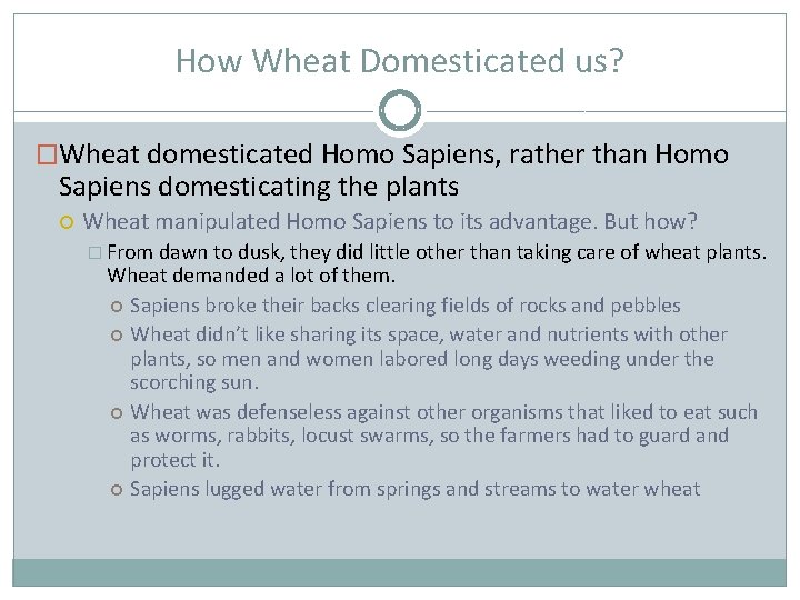 How Wheat Domesticated us? �Wheat domesticated Homo Sapiens, rather than Homo Sapiens domesticating the