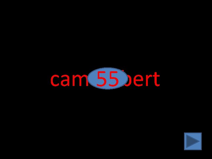 camembert 55 