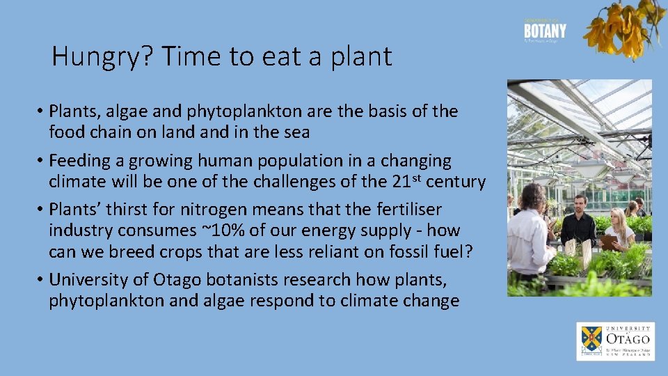 Hungry? Time to eat a plant • Plants, algae and phytoplankton are the basis