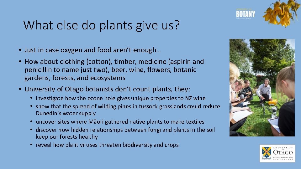 What else do plants give us? • Just in case oxygen and food aren’t