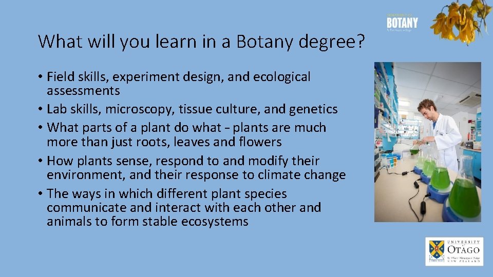 What will you learn in a Botany degree? • Field skills, experiment design, and
