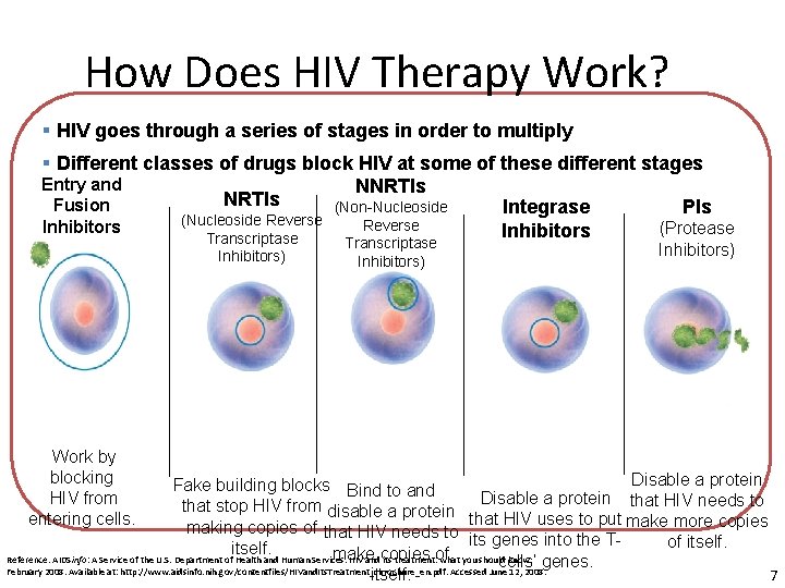 How Does HIV Therapy Work? § HIV goes through a series of stages in