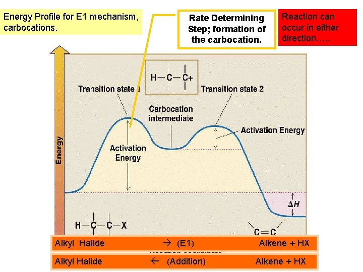 Energy Profile for E 1 mechanism, carbocations. Rate Determining Step; formation of the carbocation. Energy Profile for E 1 mechanism, carbocations. Rate Determining Step; formation of the carbocation.