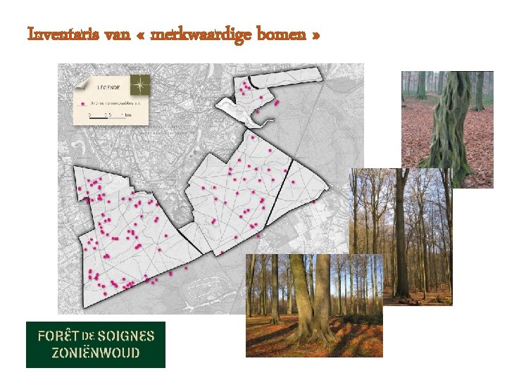 Inventaris van « merkwaardige bomen » 