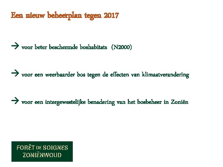 Een nieuw beheerplan tegen 2017 voor beter beschermde boshabitats (N 2000) voor een weerbaarder