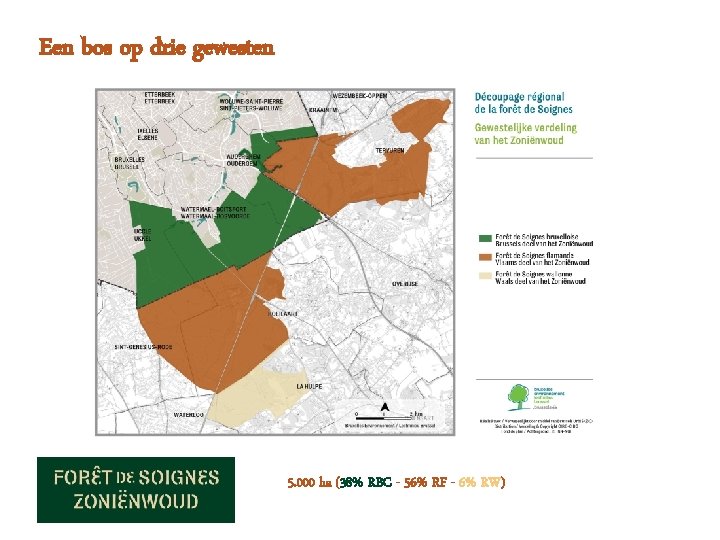 Een bos op drie gewesten 5. 000 ha (38% RBC - 56% RF -