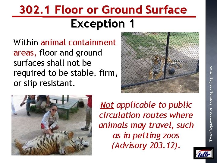 Within animal containment areas, floor and ground surfaces shall not be required to be