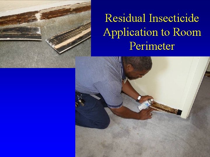 Residual Insecticide Application to Room Perimeter 