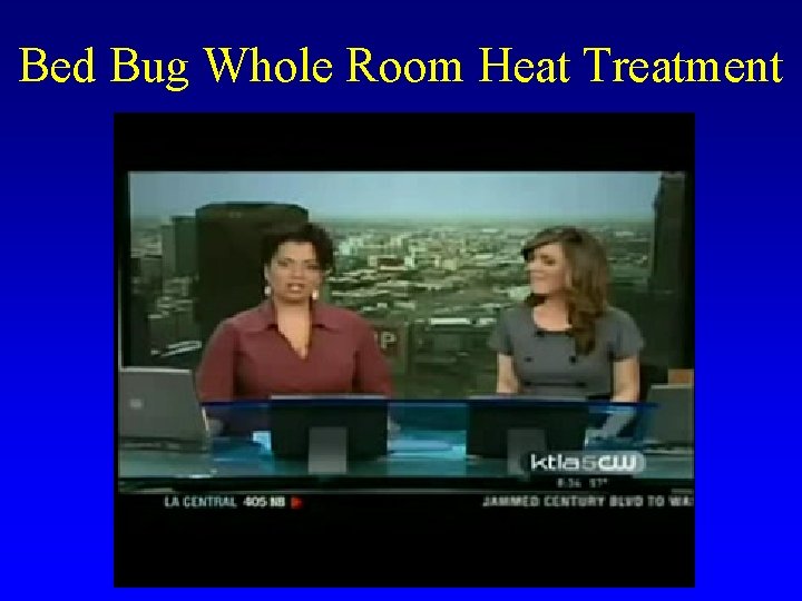 Bed Bug Whole Room Heat Treatment 