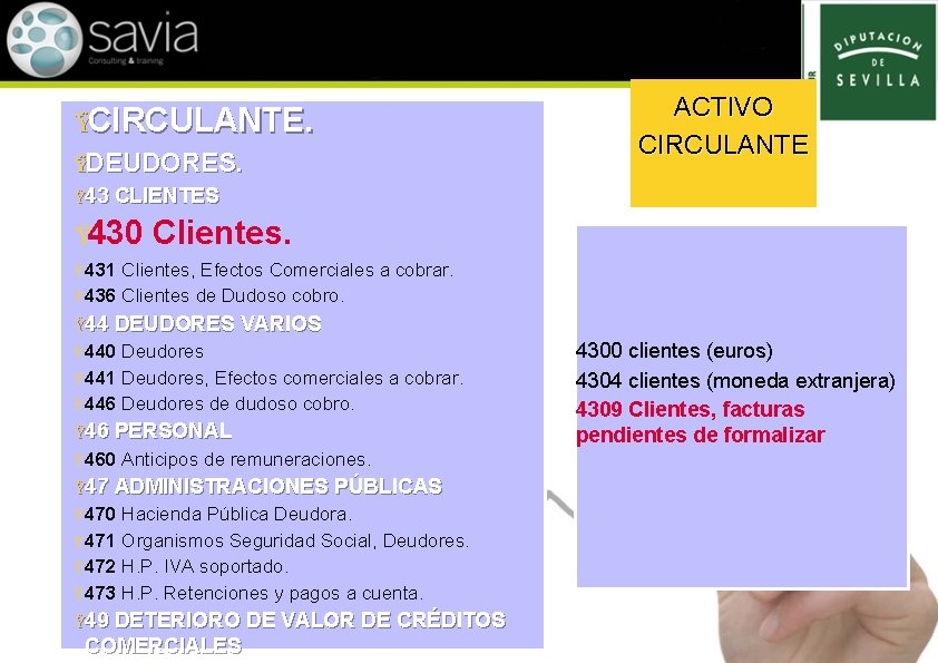 ŸCIRCULANTE. ŸDEUDORES. Ÿ 43 ACTIVO CIRCULANTE CLIENTES Ÿ 430 Clientes. Ÿ 431 Clientes, Efectos