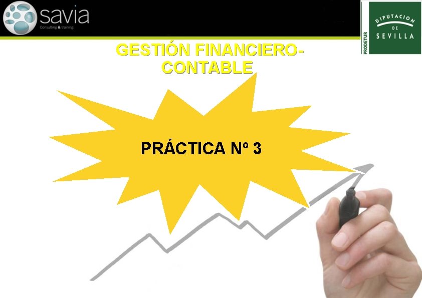 GESTIÓN FINANCIEROCONTABLE PRÁCTICA Nº 3 