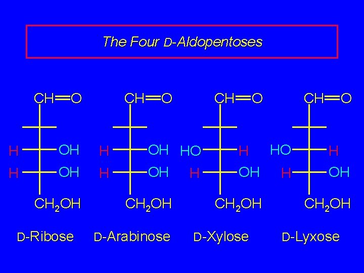 The Four D-Aldopentoses CH O CH H OH H CH 2 OH D-Ribose O