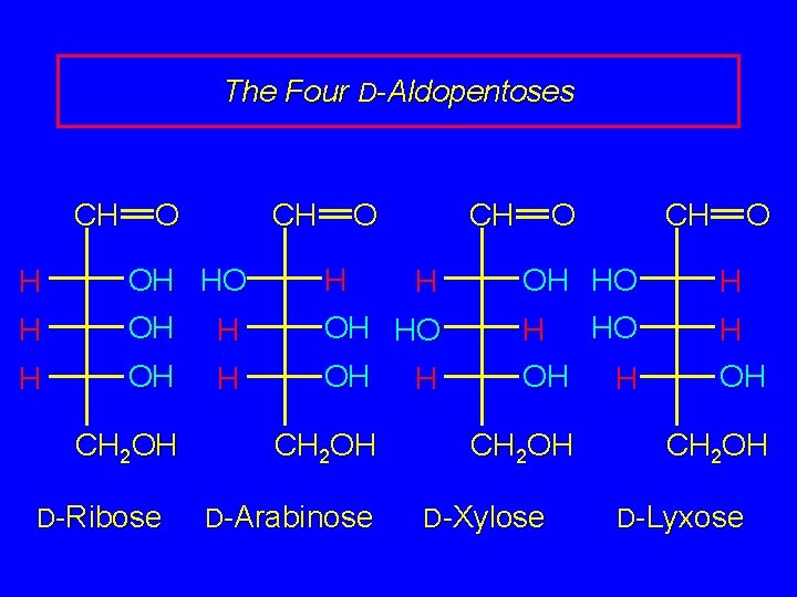 The Four D-Aldopentoses CH O H OH HO H H OH HO OH H