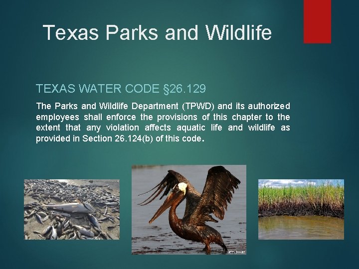Texas Parks and Wildlife TEXAS WATER CODE § 26. 129 The Parks and Wildlife