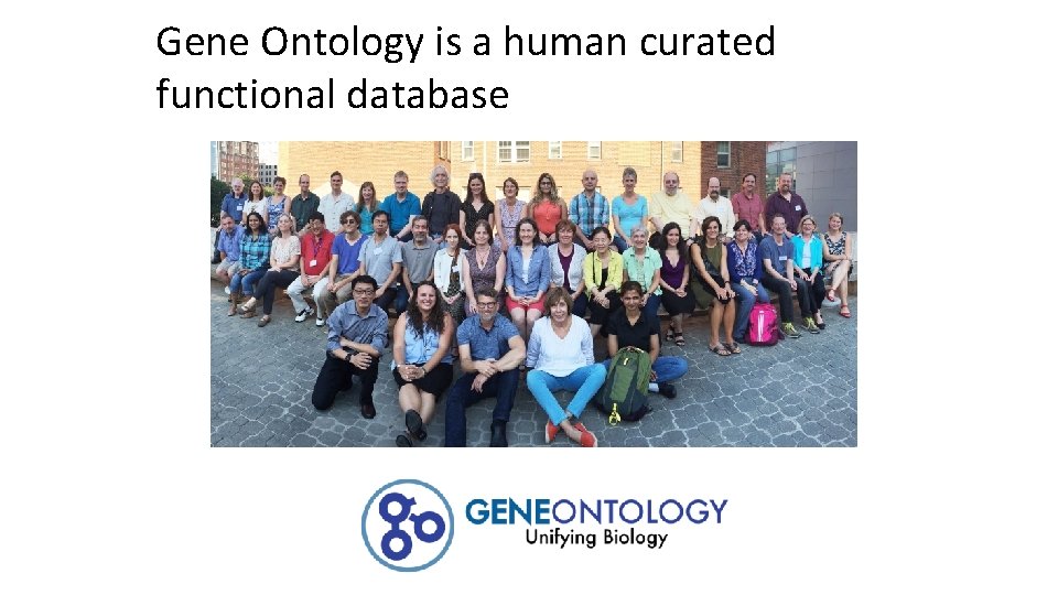 Gene Ontology is a human curated functional database 