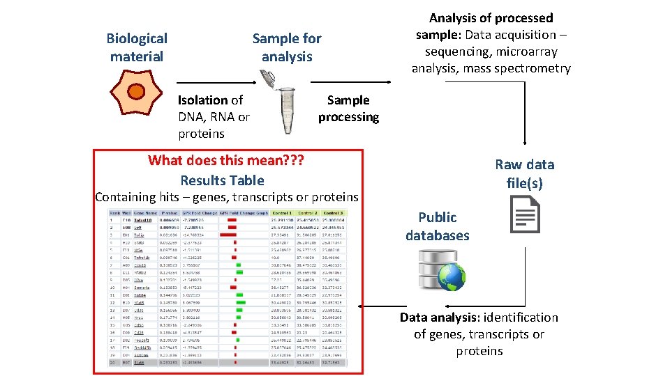 Biological material Sample for analysis Isolation of DNA, RNA or proteins Analysis of processed