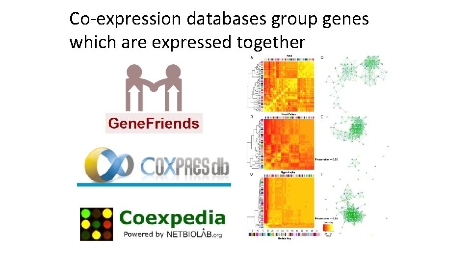 Co-expression databases group genes which are expressed together 