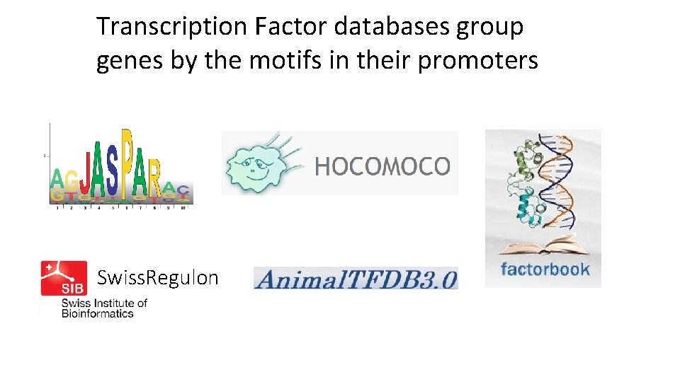 Transcription Factor databases group genes by the motifs in their promoters Swiss. Regulon 