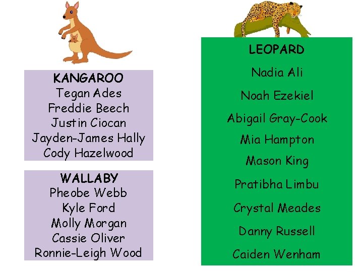 LEOPARD KANGAROO Tegan Ades Freddie Beech Justin Ciocan Jayden-James Hally Cody Hazelwood WALLABY Pheobe