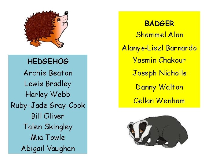 BADGER Shammel Alanys-Liezl Barnardo HEDGEHOG Yasmin Chakour Archie Beaton Lewis Bradley Harley Webb Ruby-Jade