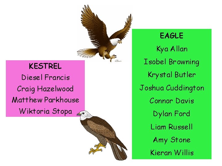 EAGLE Kya Allan KESTREL Isobel Browning Diesel Francis Krystal Butler Craig Hazelwood Joshua Cuddington