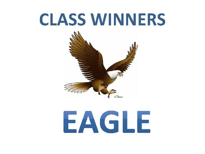 CLASS WINNERS 