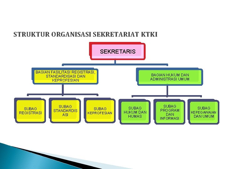 STRUKTUR ORGANISASI SEKRETARIAT KTKI SEKRETARIS BAGIAN FASILITASI REGISTRASI, STANDARDISASI DAN KEPROFESIAN SUBAG REGISTRASI SUBAG