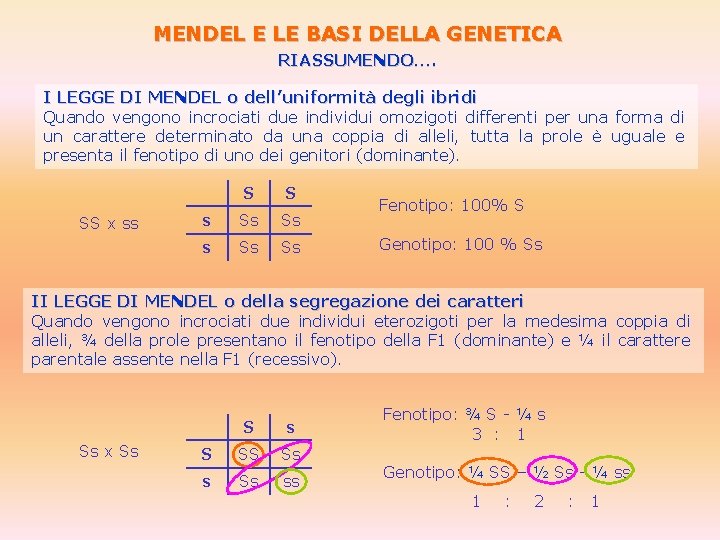 MENDEL E LE BASI DELLA GENETICA RIASSUMENDO…. I LEGGE DI MENDEL o dell’uniformità degli