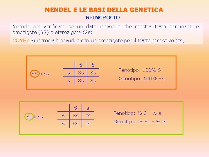 MENDEL E LE BASI DELLA GENETICA REINCROCIO Metodo per verificare se un dato individuo