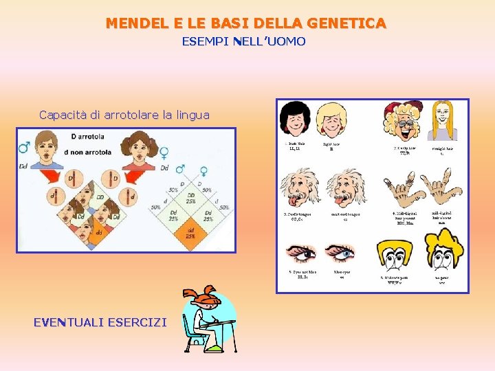 MENDEL E LE BASI DELLA GENETICA ESEMPI NELL’UOMO Capacità di arrotolare la lingua EVENTUALI