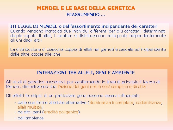 MENDEL E LE BASI DELLA GENETICA RIASSUMENDO…. III LEGGE DI MENDEL o dell’assortimento indipendente