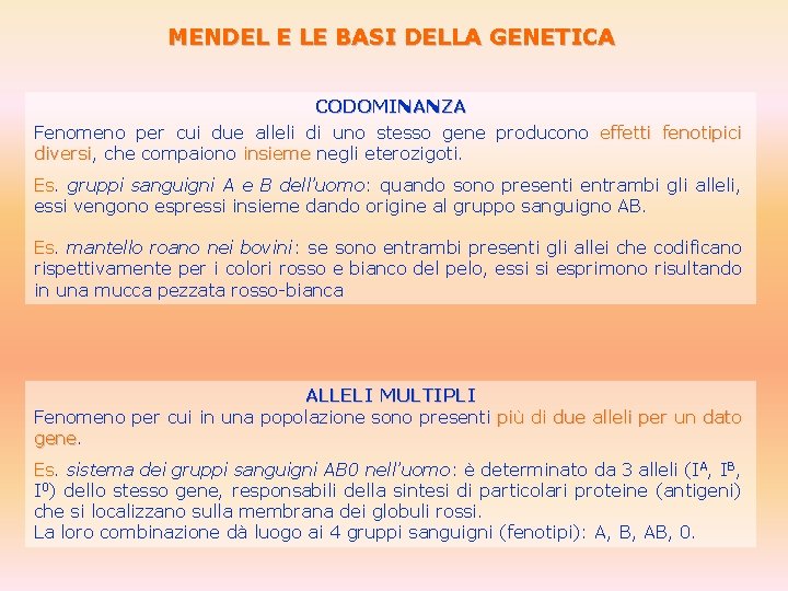 MENDEL E LE BASI DELLA GENETICA CODOMINANZA Fenomeno per cui due alleli di uno