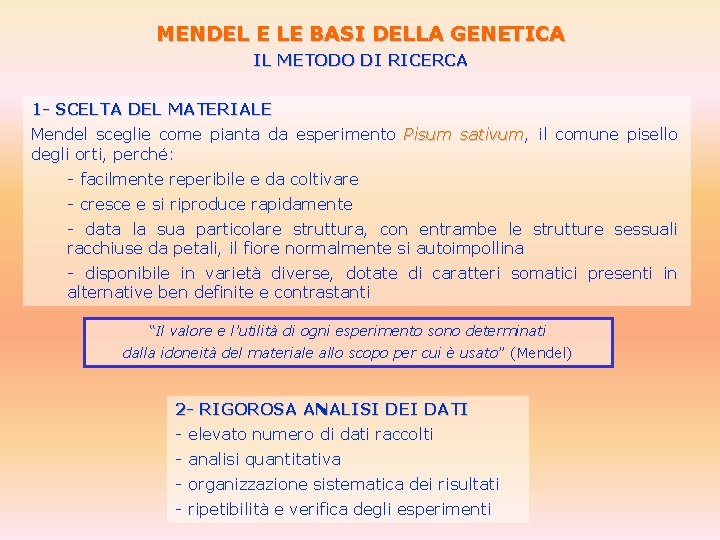 MENDEL E LE BASI DELLA GENETICA IL METODO DI RICERCA 1 - SCELTA DEL