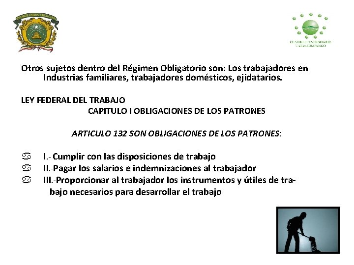 Otros sujetos dentro del Régimen Obligatorio son: Los trabajadores en Industrias familiares, trabajadores domésticos,