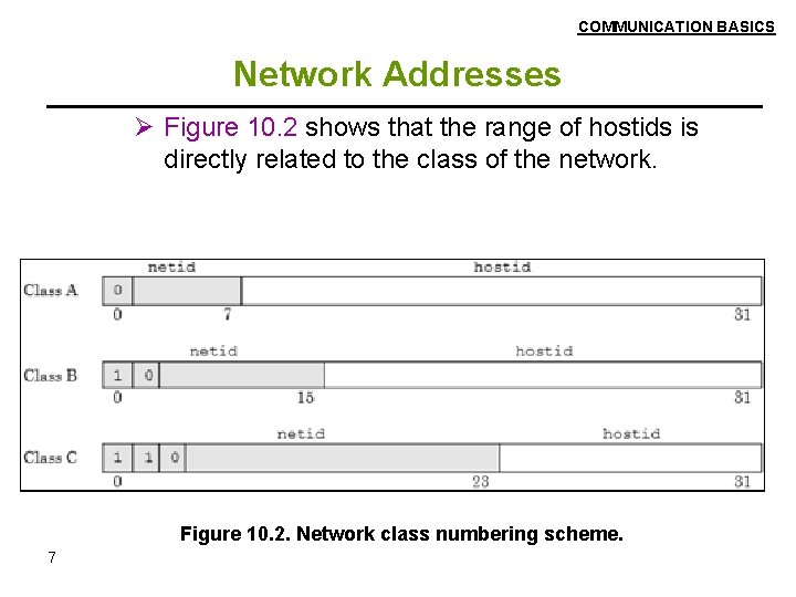 COMMUNICATION BASICS Network Addresses Ø Figure 10. 2 shows that the range of hostids