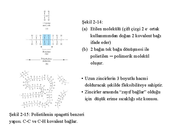 Şekil 2 -14: (a) Etilen molekülü (çift çizgi 2 e- ortak kullanımından doğan 2