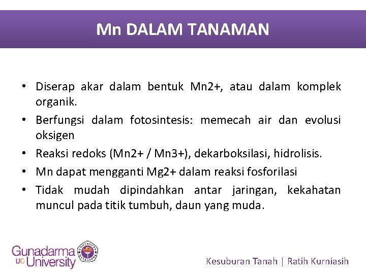 Mn DALAM TANAMAN • Diserap akar dalam bentuk Mn 2+, atau dalam komplek organik.