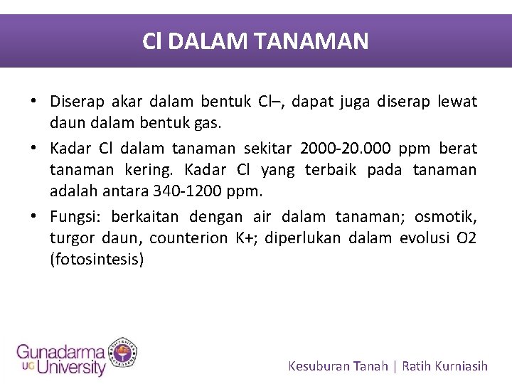 Cl DALAM TANAMAN • Diserap akar dalam bentuk Cl–, dapat juga diserap lewat daun