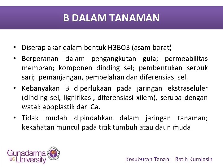B DALAM TANAMAN • Diserap akar dalam bentuk H 3 BO 3 (asam borat)