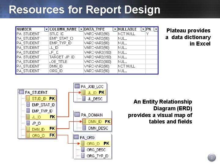 Resources for Report Design Plateau provides a data dictionary in Excel An Entity Relationship