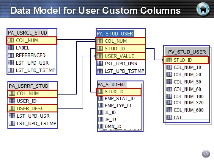 Data Model for User Custom Columns PV_STUD_USER 49 