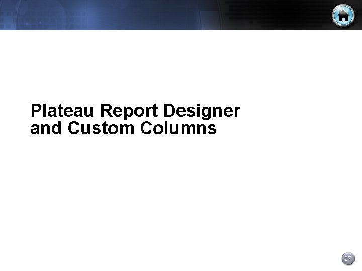 Plateau Report Designer and Custom Columns 57 