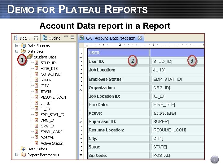 DEMO FOR PLATEAU REPORTS Account Data report in a Report 1 2 3 9
