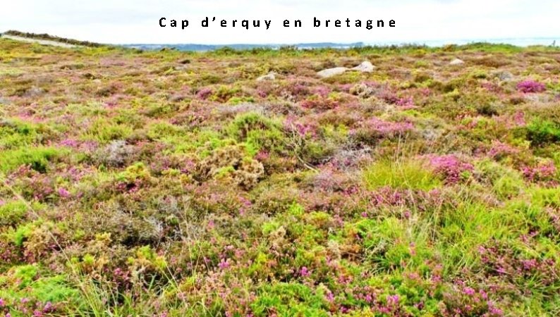  Cap d’erquy en bretagne 