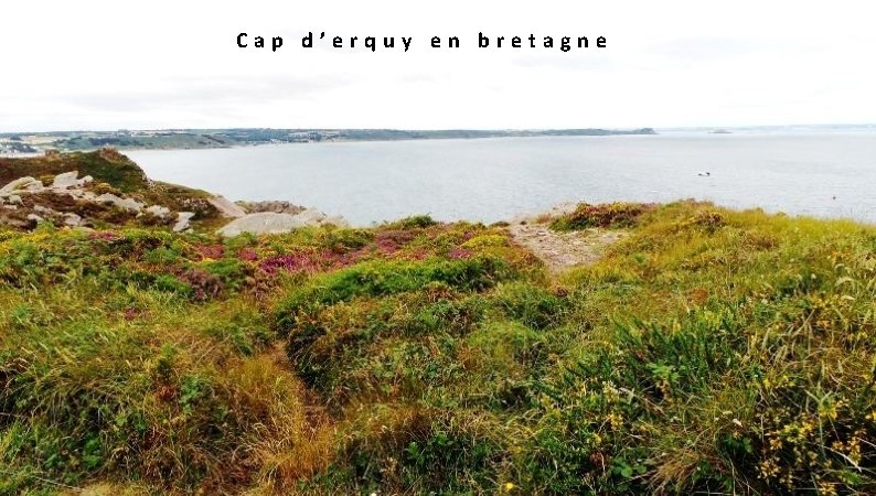  Cap d’erquy en bretagne 