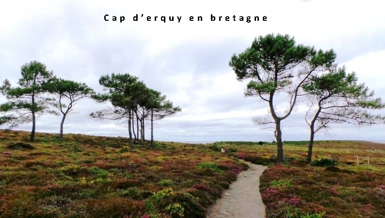  Cap d’erquy en bretagne 