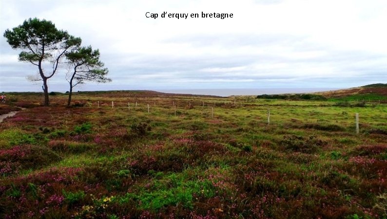  Cap d’erquy en bretagne 