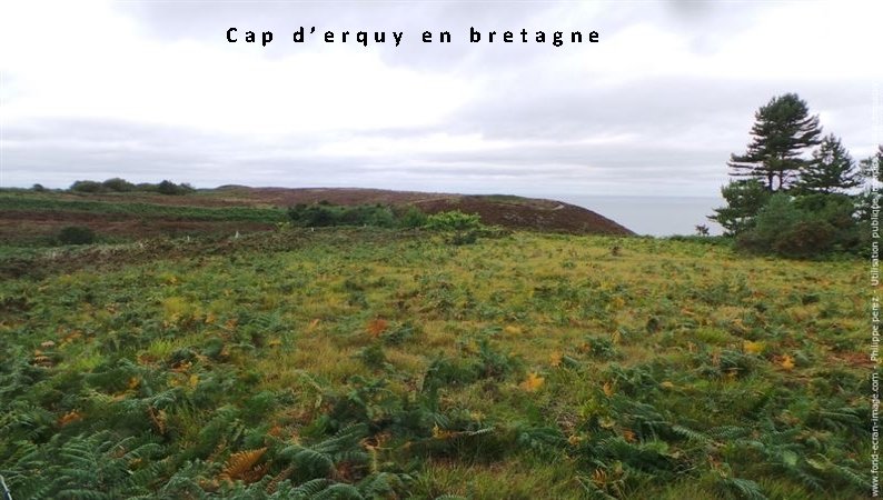  Cap d’erquy en bretagne 